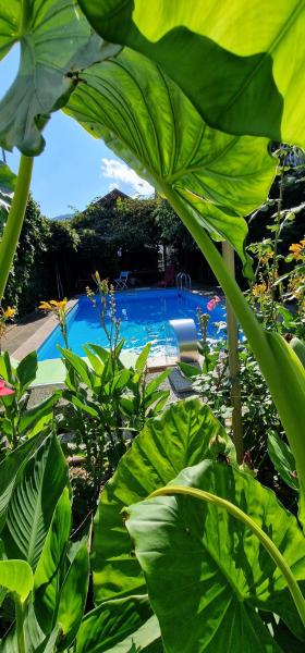 APARTMAN MURKO P-4